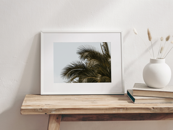 Palm Tree | South Africa, 2020 by Serena Morandi | DeCasa -ヨーロッパのアート＆ポスターセレクトショップ