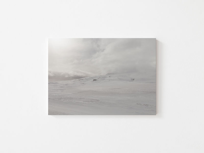 Shades of White | Iceland, 2017 by Serena Morandi | DeCasa -ヨーロッパのアート＆ポスターセレクトショップ | インテリアアート | 写真 | フォトグラフィー | 海外ポスター | モダン | おしゃれポスター | アイスランド | 雪 | 氷河 | ホワイト | 風景