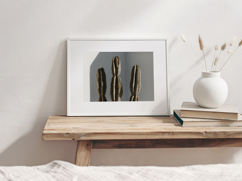 Sculptural Cacti | Lanzarote, 2021 by Serena Morandi | DeCasa -ヨーロッパのアート＆ポスターセレクトショップ