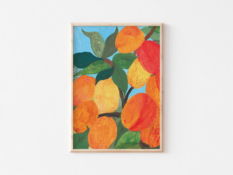 Apricots（アプリコット） by Liz Rowland | DeCasa -ヨーロッパのアート＆ポスターショップ | インテリアアート | カラフルアート | 海外ポスター | モダンアート | おしゃれポスター | フルーツ | 鮮やか | オレンジ