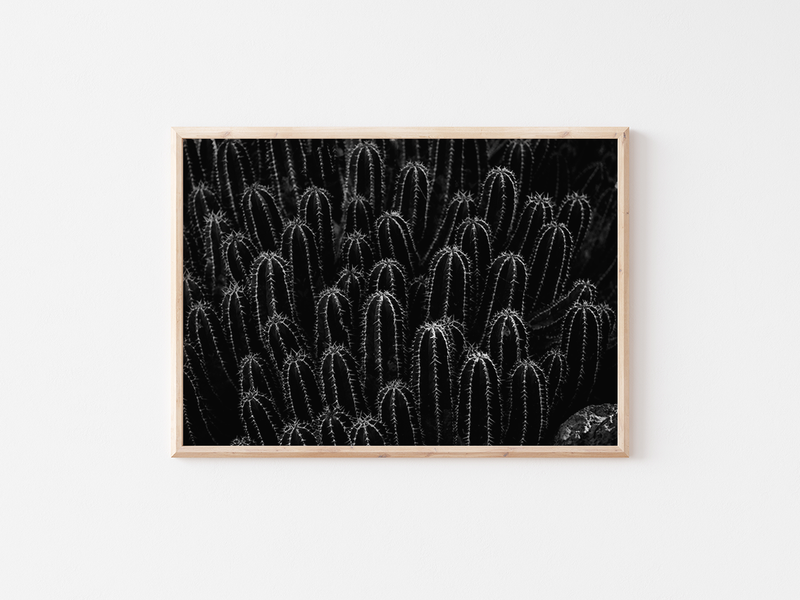 Small Cacti | Spain, 2021 by Serena Morandi | DeCasa -ヨーロッパのアート＆ポスターセレクトショップ
